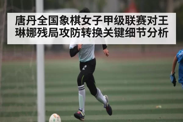 唐丹全国象棋女子甲级联赛对王琳娜残局攻防转换关键细节分析
